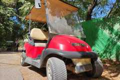 What-driving-license-do-you-need-for-a-golf-cart